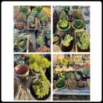 vendor garden endeavors 2 vendor garden endeavors 2