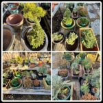 vendor garden endeavors 3 vendor garden endeavors 3